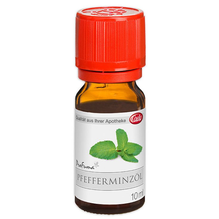 Caelo Caesar & Loretz Menta Piperita Essenza 25ml