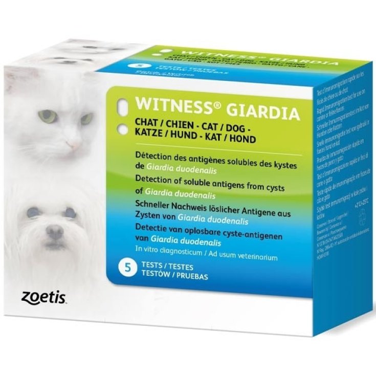 Zoetis Italia Witness Giarda 5 Test Diagnostico Veterinario