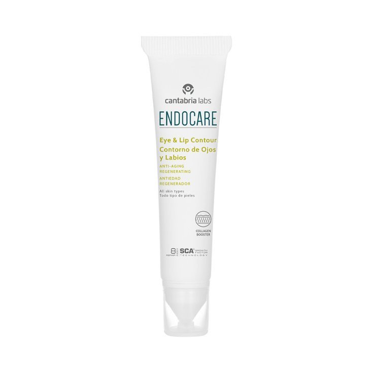 Caelo Caesar & Loretz Gmbh Lavanda Essenza Ph Eur 25ml