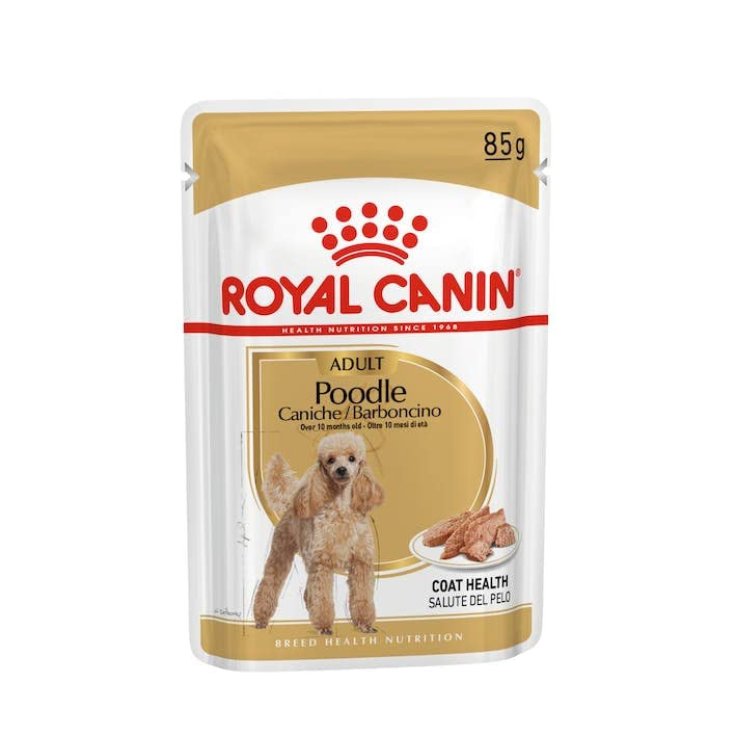Royal Canin Poodle Adult Umido, 12x85g