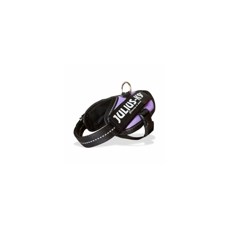 Pettorina Porpora Tg.Baby 2&nbsp;IDC Power Harness Julius-K9