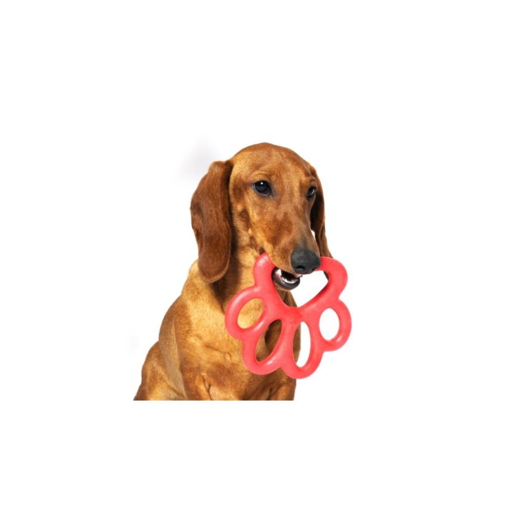 ORMA GIOCO PER CANI