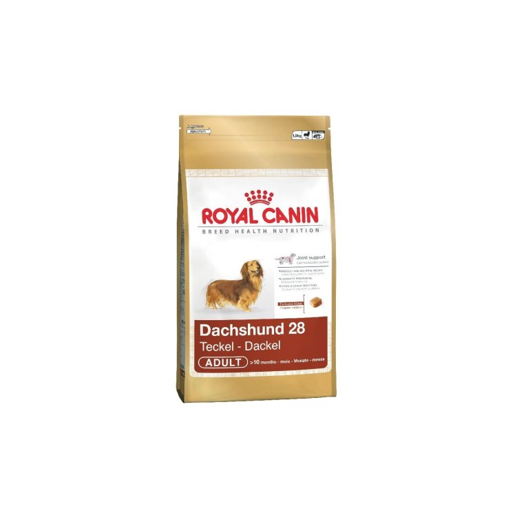 Bassotto Dachshund - 1,50KG