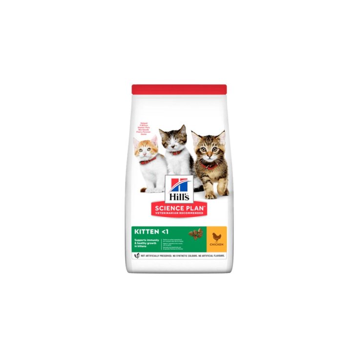 KITTEN FELINE 300 GR POLLO