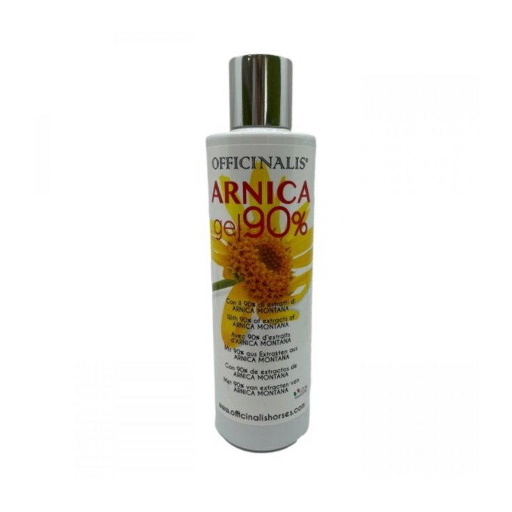 Arnica Gel 90% Dalla Grana Mangimi 250ml