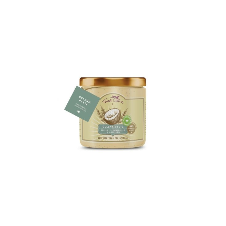 TERRA CANIS PASTA ARTICOLAZIONE 250ML