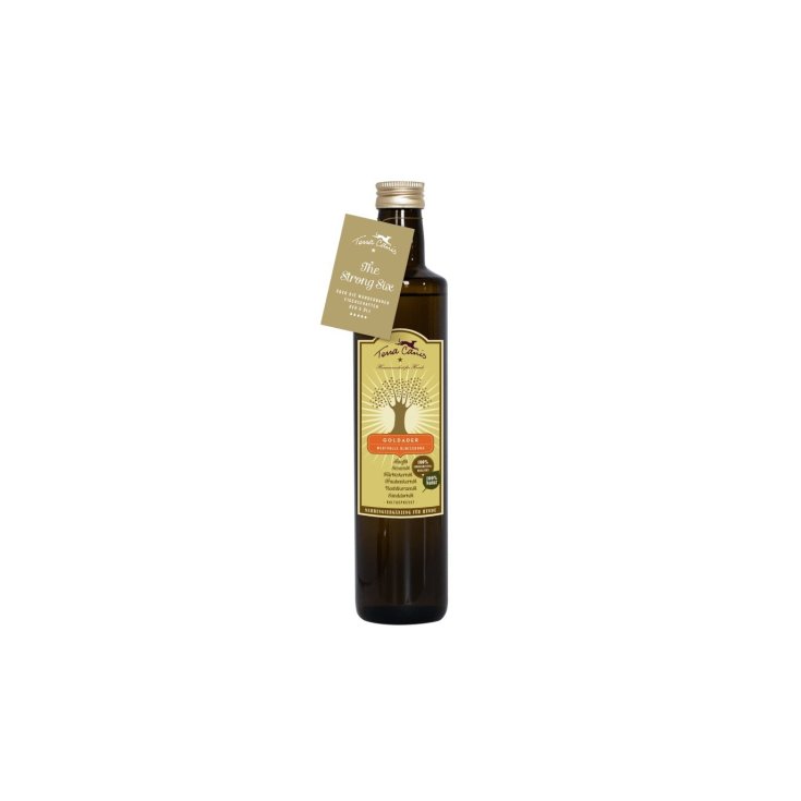 TERRA CANIS OLIO GOLD VEIN 250ML