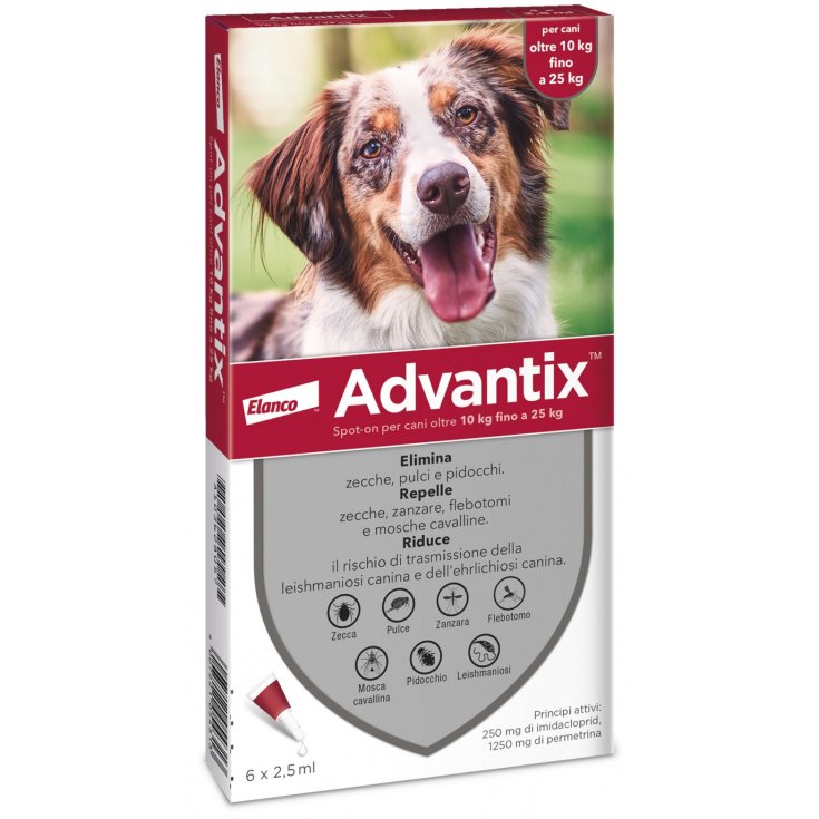 Advantix Spot On 6 Pipette - Rosso 10-25 Kg