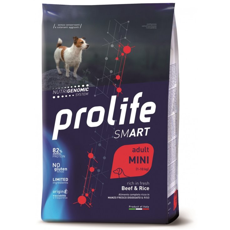 Smart Adult Mini Beef & Rice - 2KG