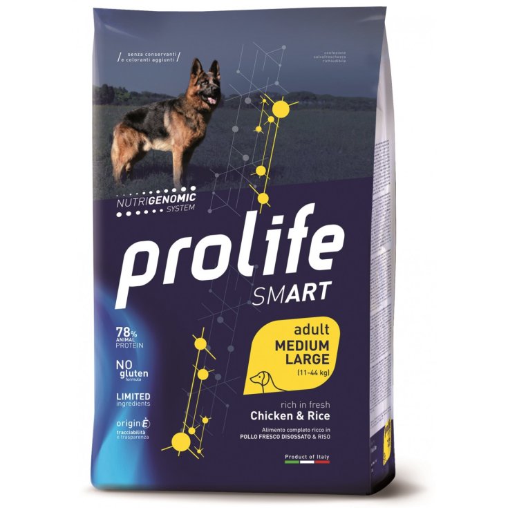 Smart Adult Medium/Large Chicken & Rice - 12KG