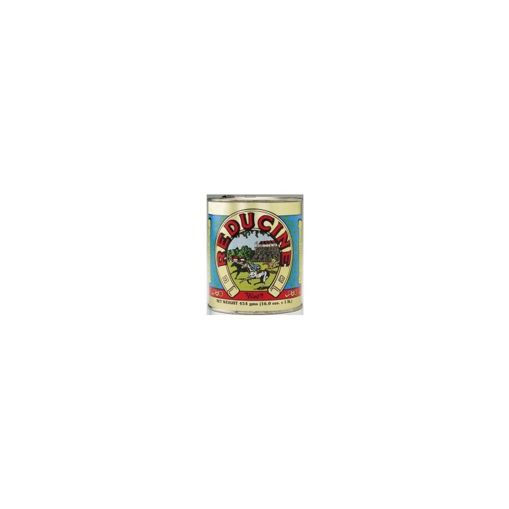Reducine Absorbent Uso Veterinario 450g