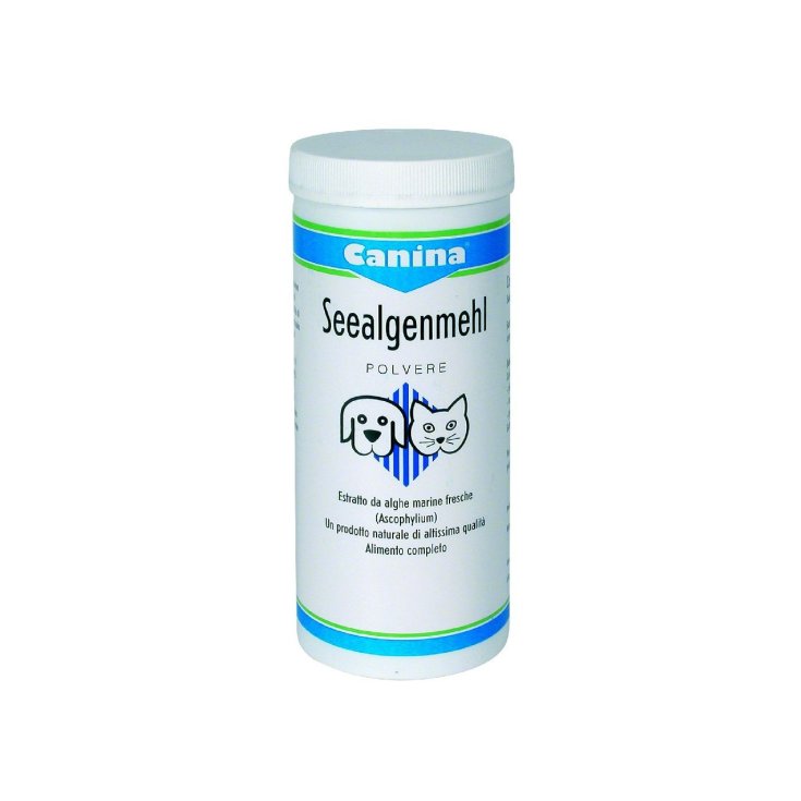 Seealgen - 750GR