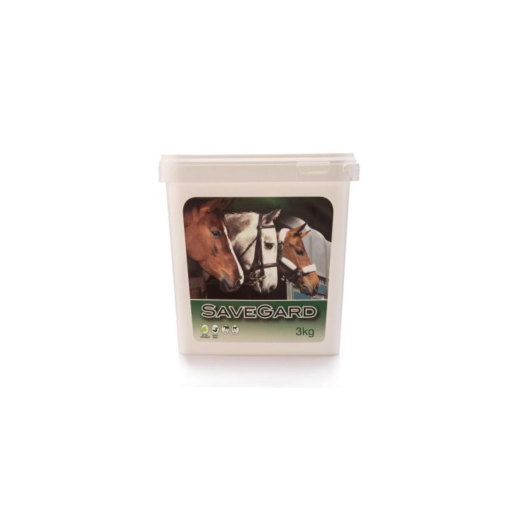 Savegard Equality 3kg