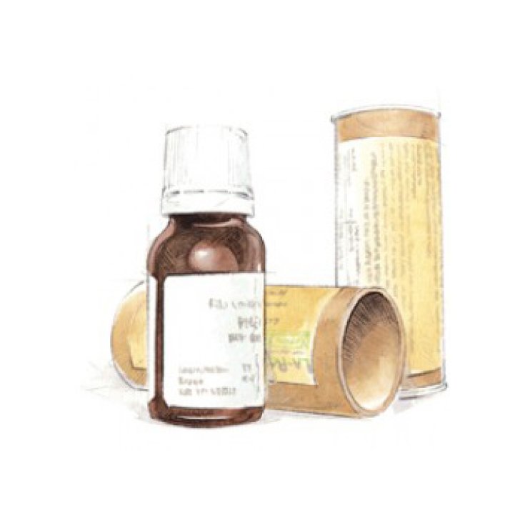 Cemon Pino Fee Gocce 15ml