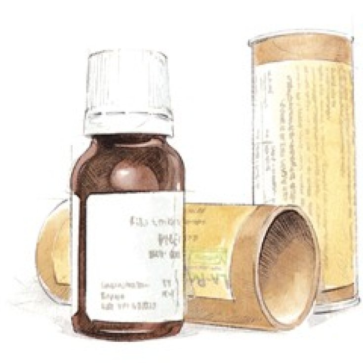 Cemon Rosa Canina Fee  Integratore Alimentare 15ml
