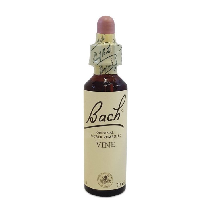 Vine Flower Remedies Bach Center 20ml