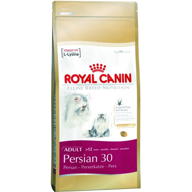 Persian 30 - 4KG
