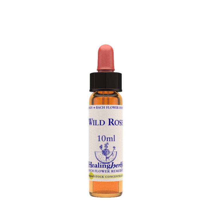 Wild Rose Essenza 10ml