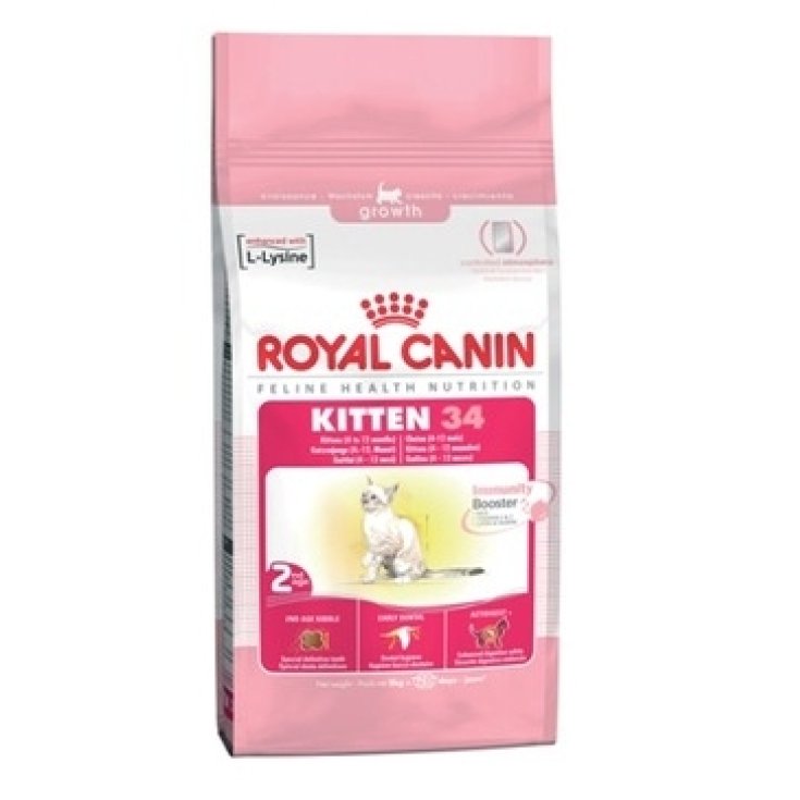 Kitten - 400GR