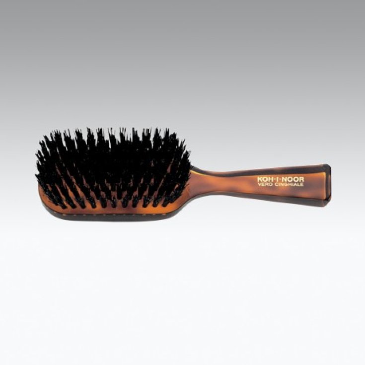 Koh-I-Noor Spazzola Tartaruga Rettangolare Con Manico In Setola Nera COD 297