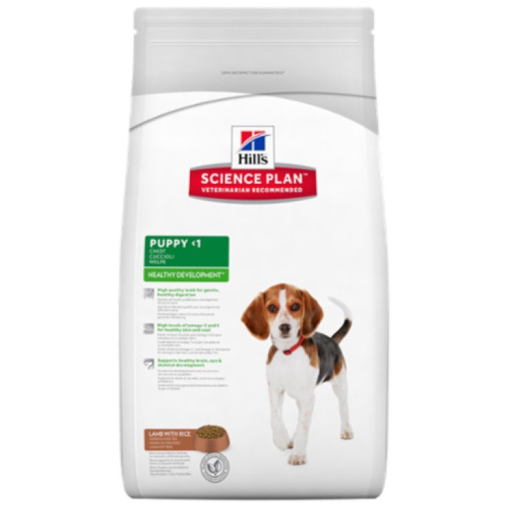 Hill's Science Plan Puppy Healthy Development Taglia Media con Agnello e Riso 3kg