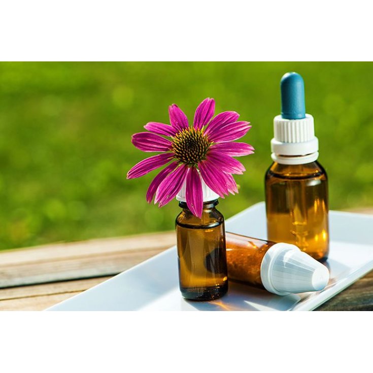 Iride 2000 Castagno Dolce Gocce 30ml
