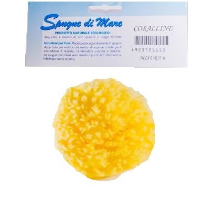 Bm Farmaceutici Spugna Mare Naturale Misura S 1 Pezzo
