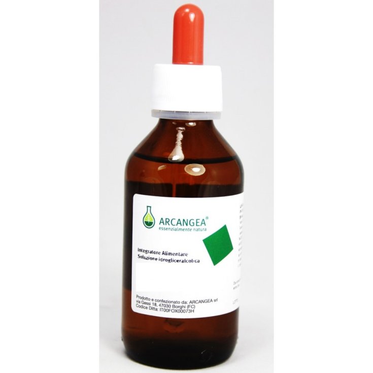 Arcangea Ribes Nigrum Integratore Alimentare 100ml