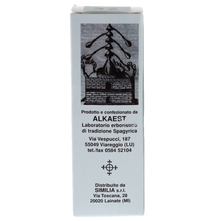 Mgs7 Fico Macertao Glicerico SPG 20ml