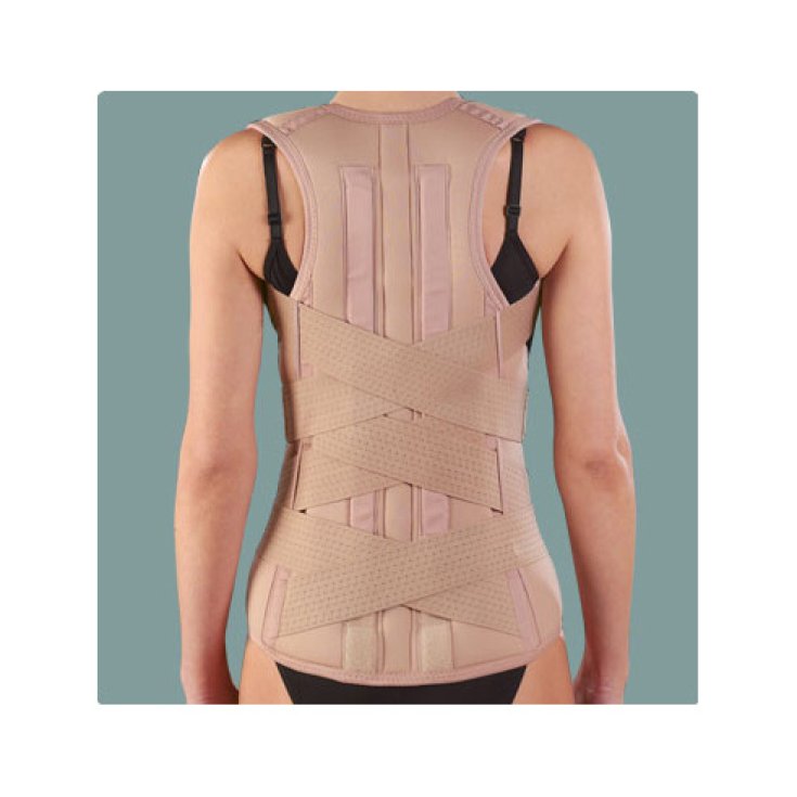 Ro+ten Lem Corsetto Dorso-Lombare Con Spallacci PR1-1036  Taglia  M
