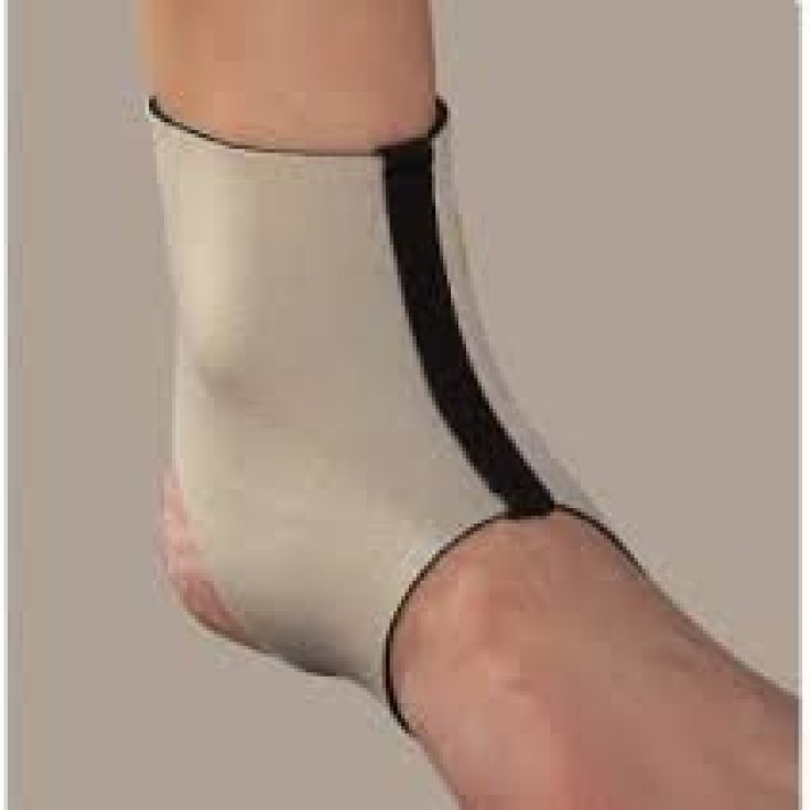 Ro+ten Object Cavigliera Semplice In Neoprene PR4-8237 Taglia M (circonferenza caviglia 20-25)