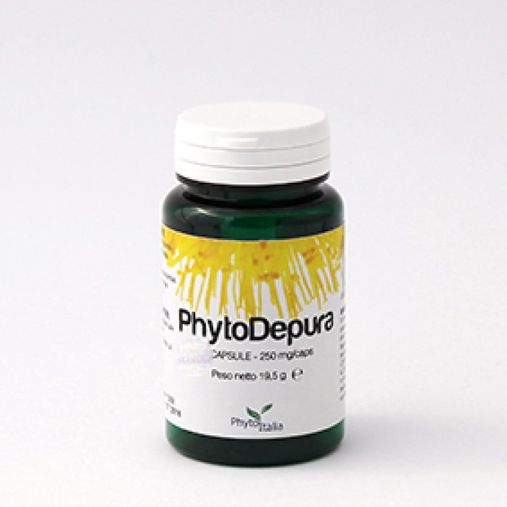 PhitoItalia Phytodepura Integrtatore Alimentare 60 Capsule