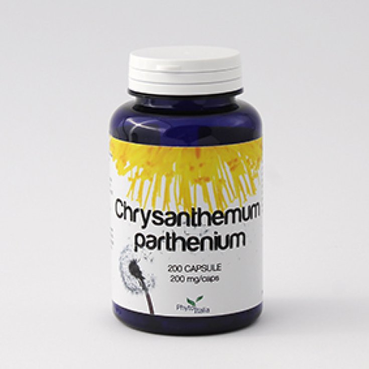 PhytoItalia Chrysantellum Parthen Integratore Alimentare 60 Capsule