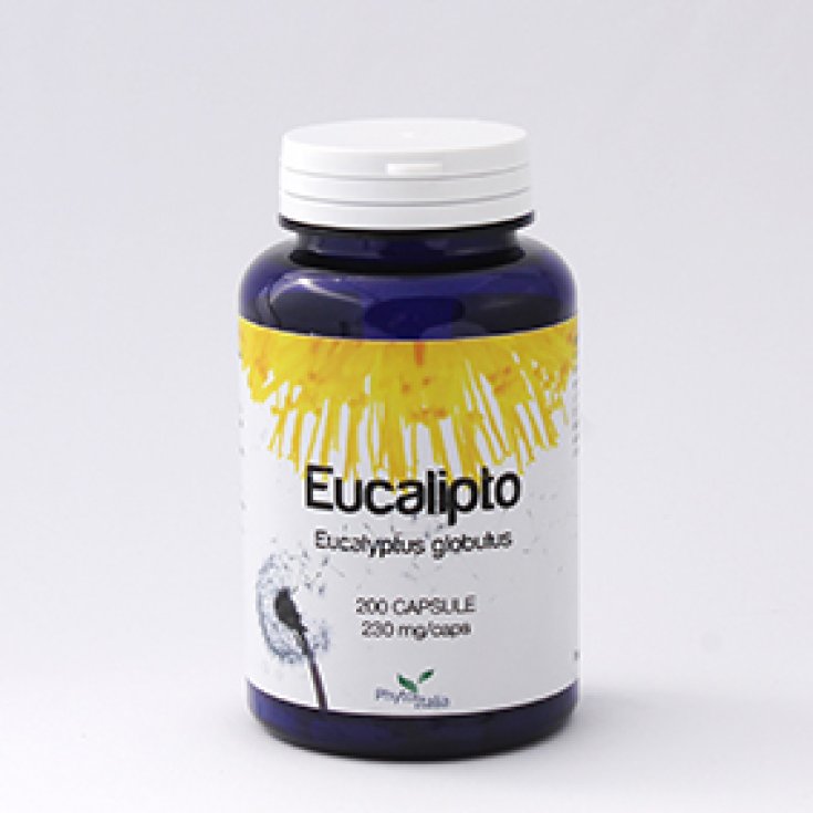 Phyto Italia Eucalipto Integtratore Alimentare 60 Compresse