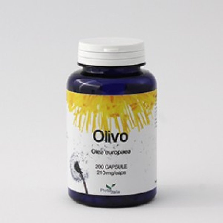 PhytoItalia Olivo Integratore Alimentare 60 Capsule