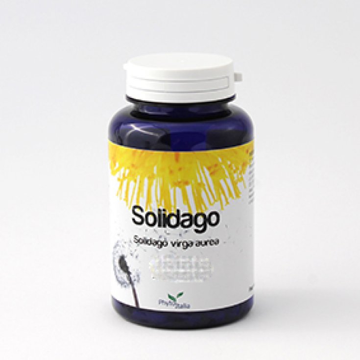 Phytoitalia Solidago Integratore Alimentare 60 Capsule