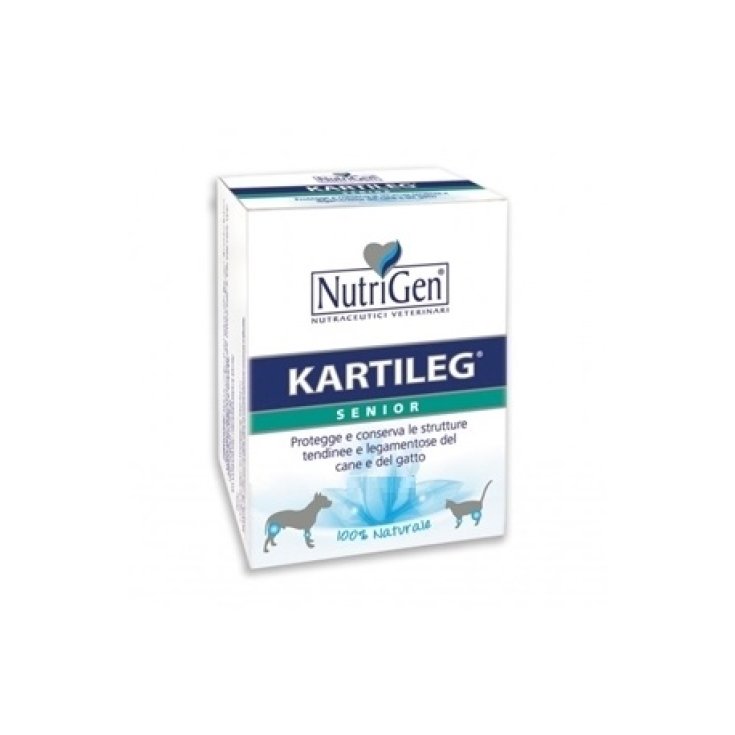 Kartileg Senior - 60X1GR
