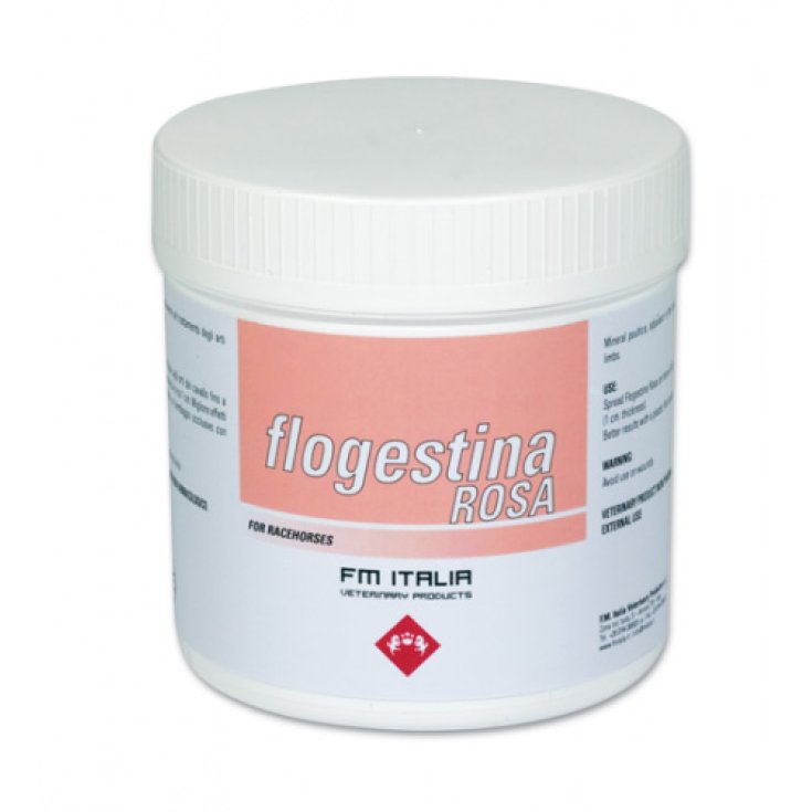 FM Italia Flogestine Rosa Pasta 1kg