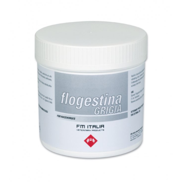 FM Italia Flogestina Grigia Pasta Minerale Per Cavalli 1kg