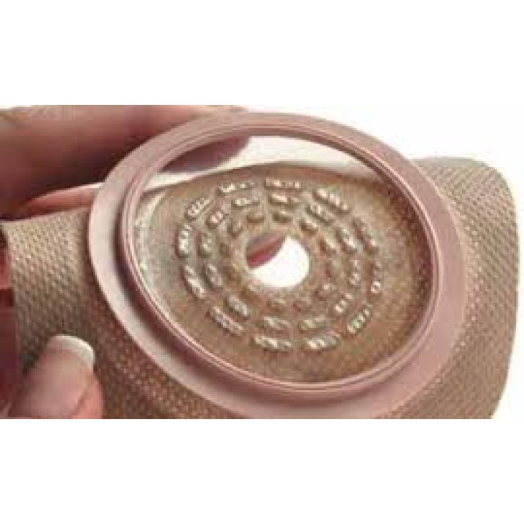 Hollister Conform 2 Placca Convessa 13-51mm