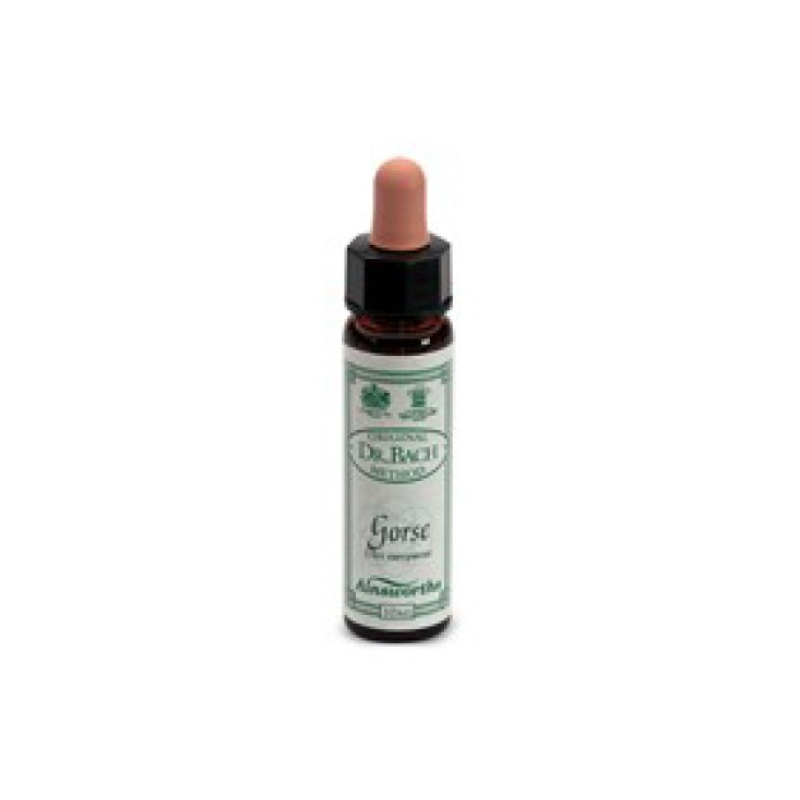 Santiveri Ainsworths Gorse Fiori Di Bach 10ml