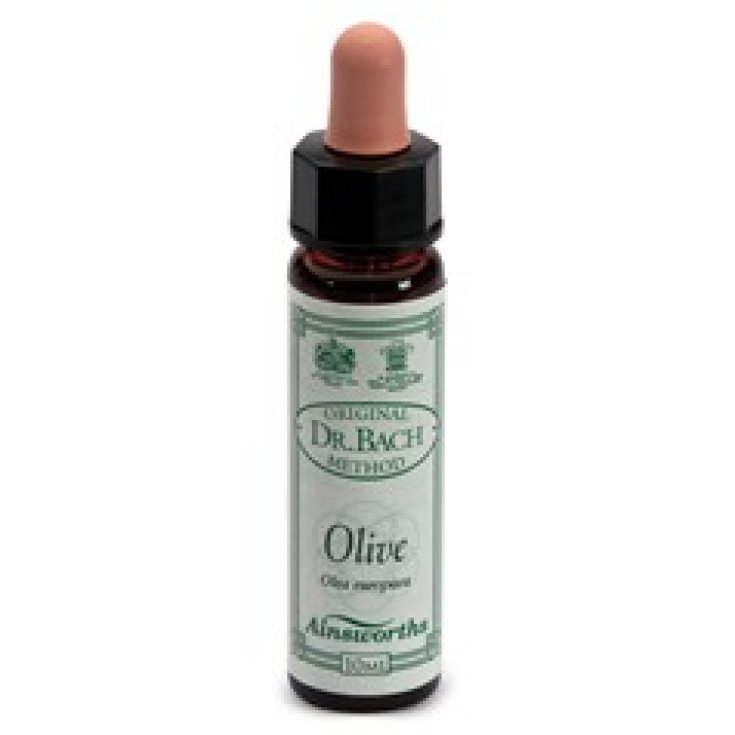Santiveri Ainsworths Olive Integratore Alimentare 10ml