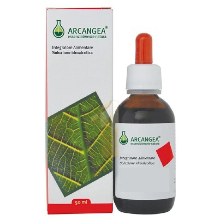Arcangea Ficus Carica Circulatum Integratore Alimentare 50ml