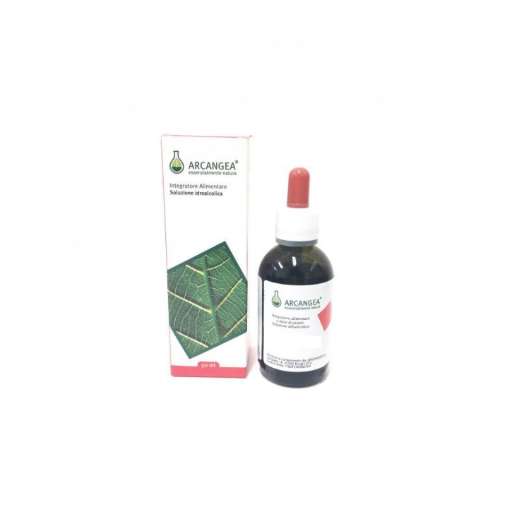 Arcangea Uncaria Soluzione Idroalcolica Integratore Alimentare 50ml