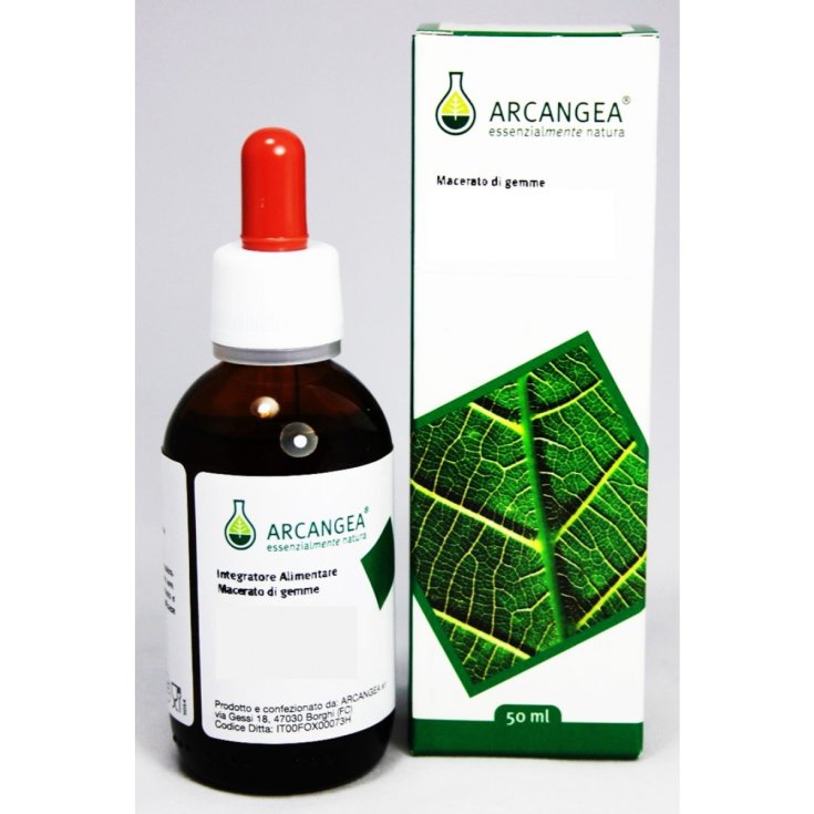 Arcangea Linfa Betulla Gemmoderivato 50ml