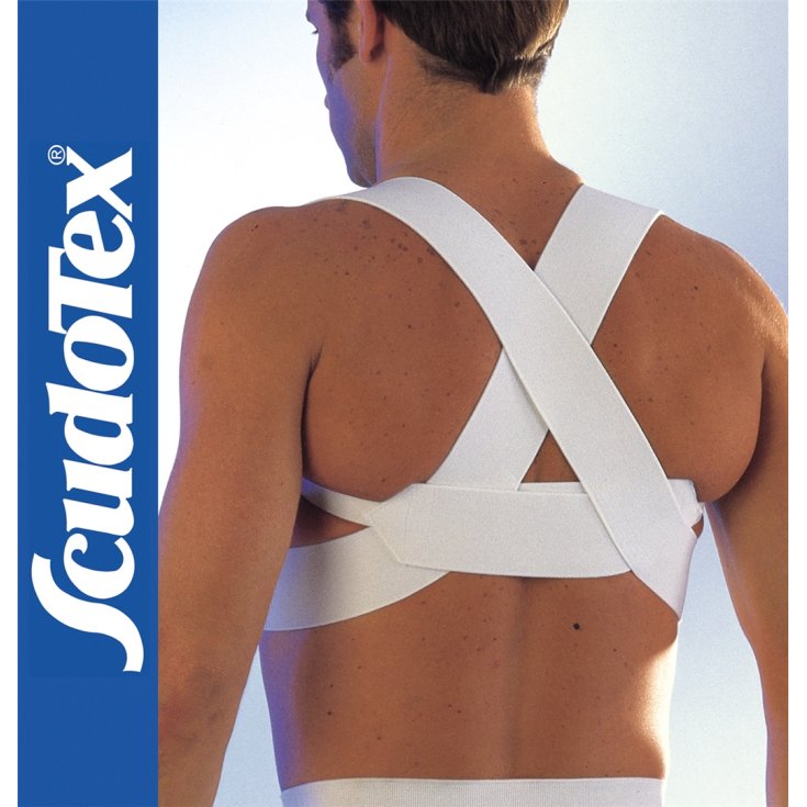 Scudotex Raddrizzaspalle Incrociato Taglia 3