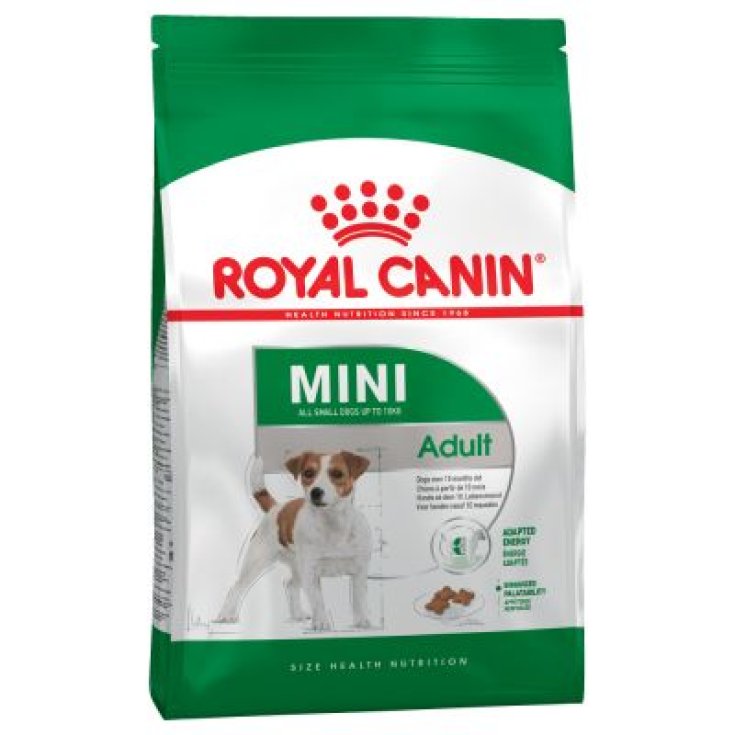 Mini Adult - 8KG