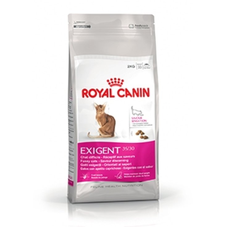 Savour Exigent - 4KG