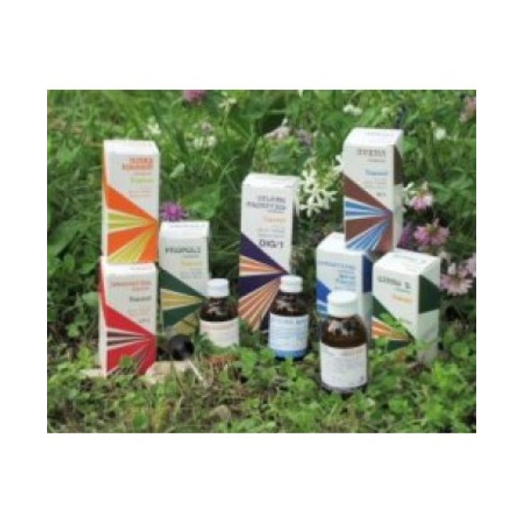 Raemil Bardana Composta 250ml