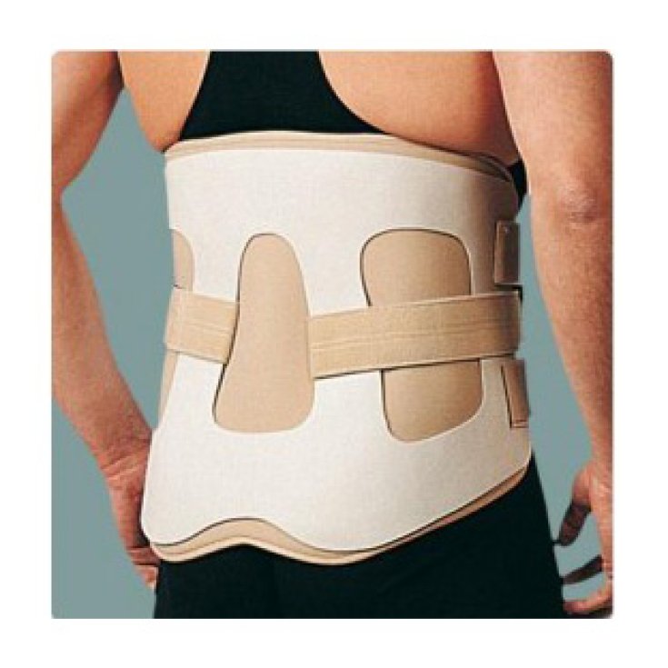 Ro+ten Chairback Corsetto Rigido Lombare PR1-8909 Taglia XL (misura circonferenza bacino +120 cm)